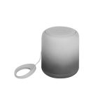 BOCINA LARI GRIS TH-189G ( TH-189 / TH189 / BOCINAS )
